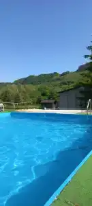 Снежный Барс - 12