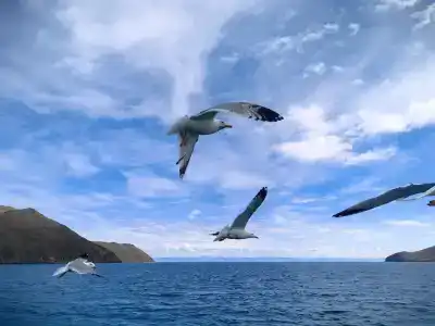 Байкал Вью - 26