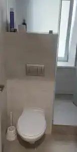 Троицкий - 87