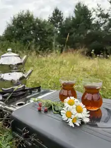 Суеты. нет - 42