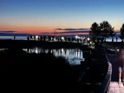 Рыбацкая Артель - 4