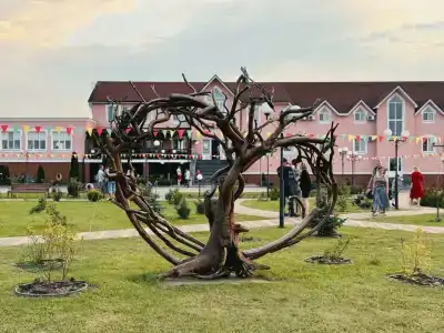 Карс Козельск - 78