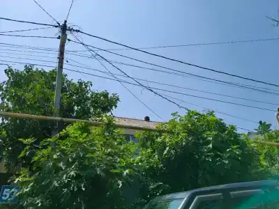 Рафаэлло - 7