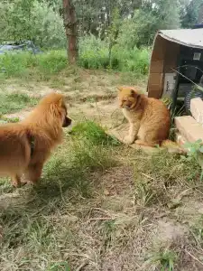 Беловодье - 5