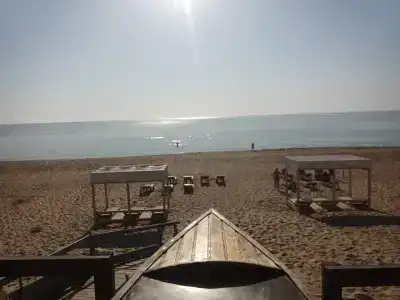 Атлант Экзотик - 90