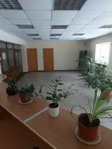 Атом - 4