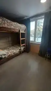 Брусника - 1
