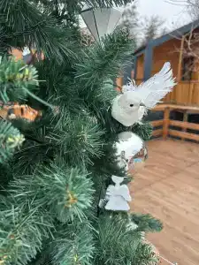 Амбассадор - 41