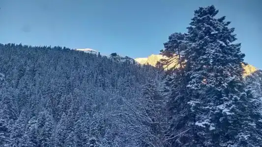 Альпенхауз - 12