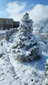 Орлиное гнездо - 43