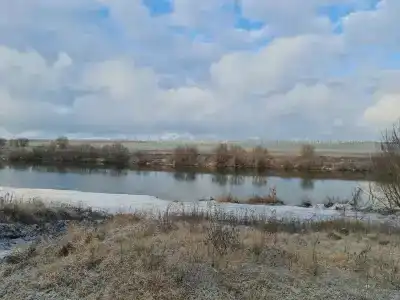 Богатица - 39