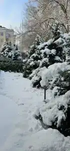 Династя - 35