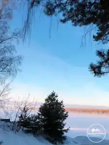 Медведчикова - 49