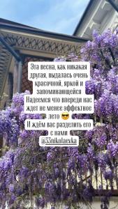 33 Удовольствия - 24