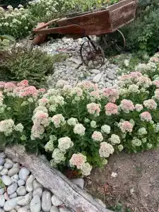 Welcome Голубой Залив - 2