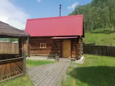 Золотая пчела - 24