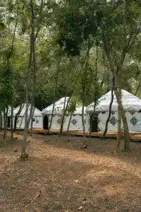 Юрта-парк на острове - 1