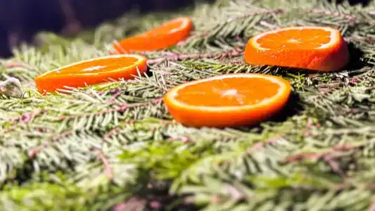 Богослово - 95