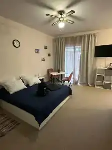 Королевская звезда - 49