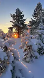 Хутор Марья - 10