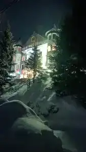 Замок Эдельвейс - 28