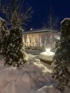 ДанДача - 7