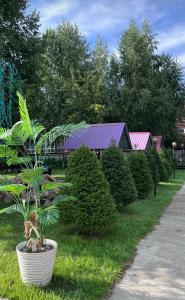 Усадьба Сокольских - 48