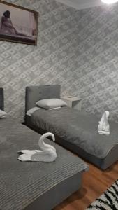 у Гульзары - 13