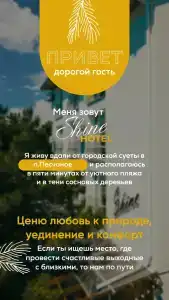 Shine - 33