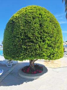 Ozs Incekum Beach Resort - 58