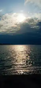 Сурица - 9
