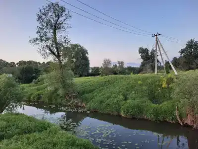 Усадьба - 49