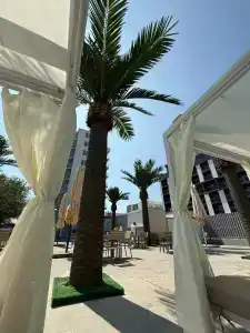 Дель Мар Инн All inclusive - 52