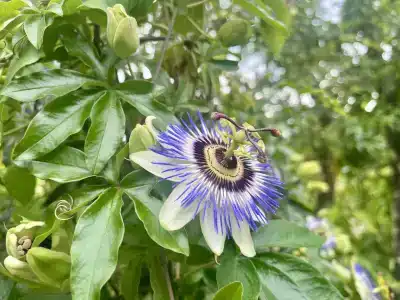 В гостях у Риты - 16