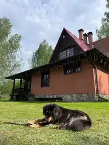 Уникальный творческий дом в Волоховщине - 32