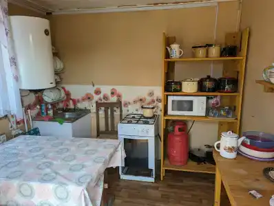 Радомира - 7
