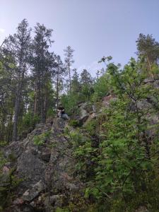 Серые камни - 39