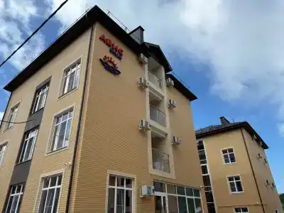 Авис
