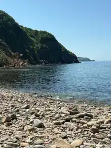 Полосатик - 1