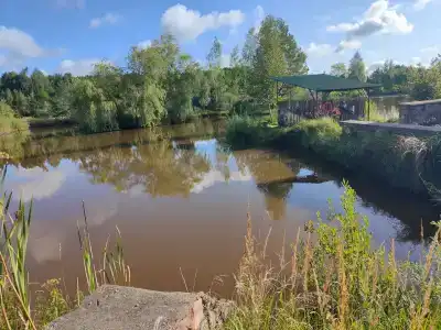 Ставы - 31