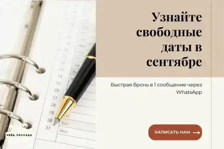 Рейд Паллада - 33