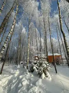 Тишали - 2