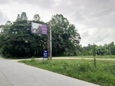 Sarocha Rayong - 8