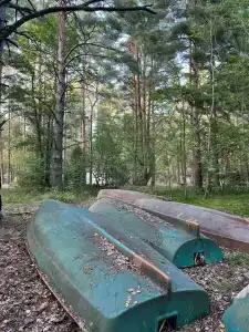 Лотос - 4