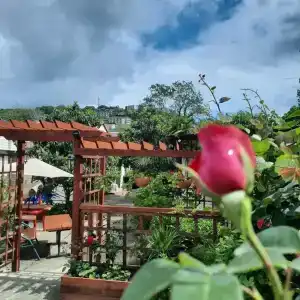 Усадьба Пантелея - 61