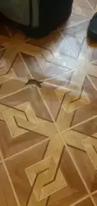 Аэроотель - 24