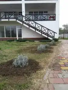 Азон - 47