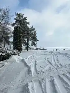 Комарово Спорт - 46