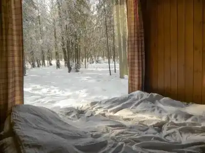 Хижина в лесу - 4