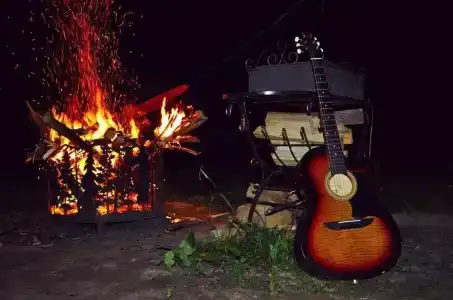 Шишкин лес - 11